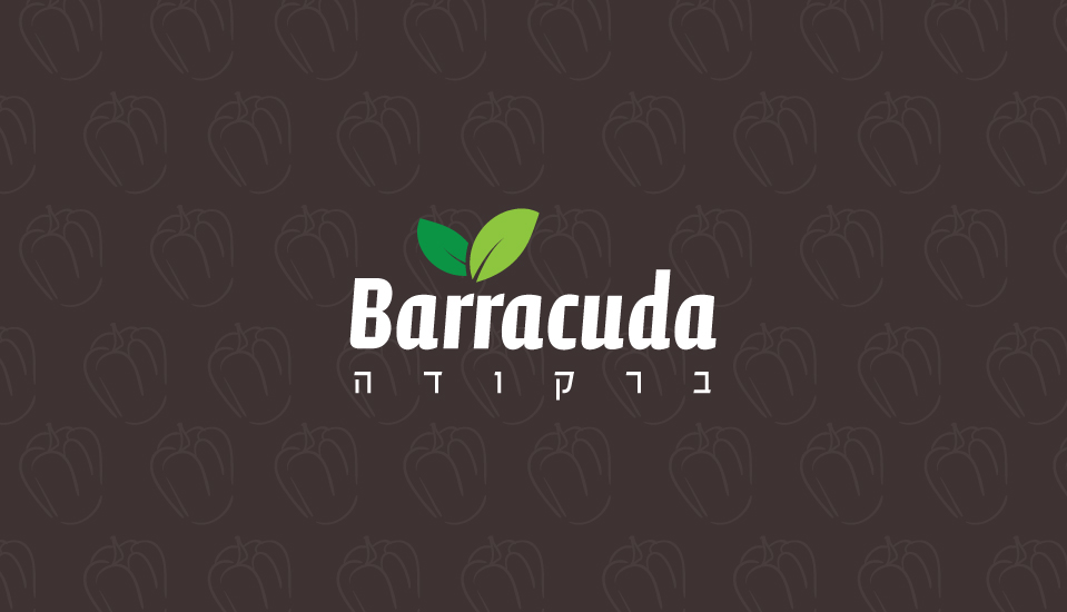 עיצוב לוגו לאפליקציה barracuda