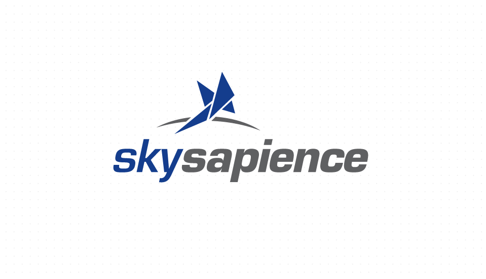 עיצוב לוגו sky sapience